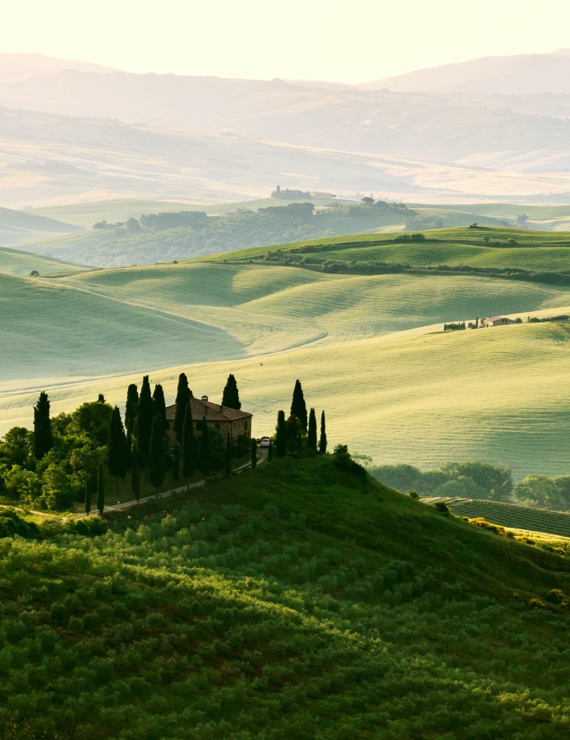 Wir sind die Experten für Verpackungslizenzierung. Unkompliziert und rechtssicher.